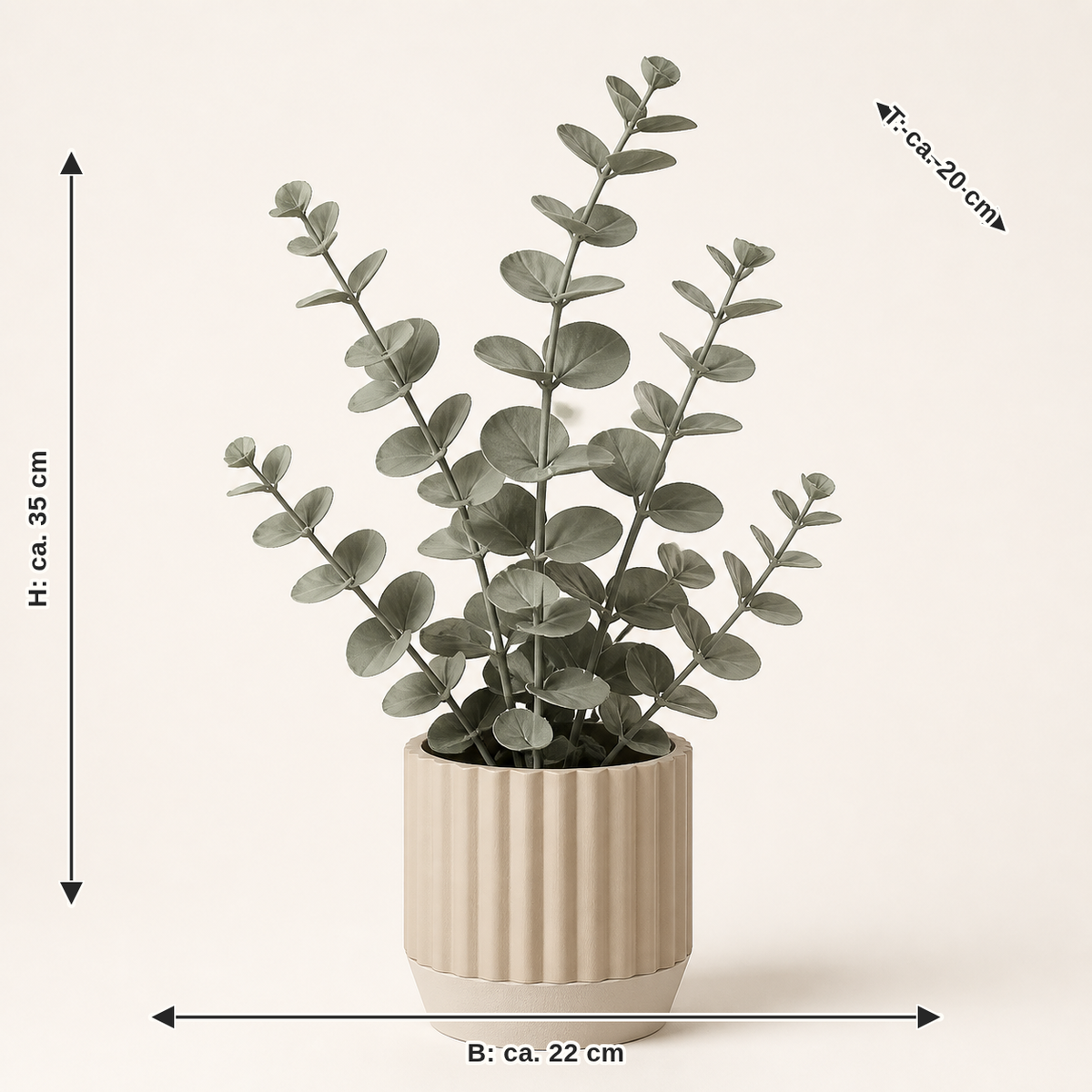 Dimensional image for decorative plant Eucalyptus – minimalist: width approx. 22 cm, depth approx. 20 cm, height approx. 35 cm