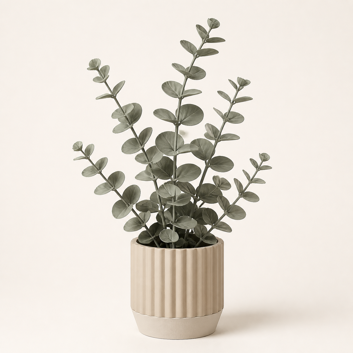 Decorative plant Eucalyptus – minimalist from PETG on bright studio background