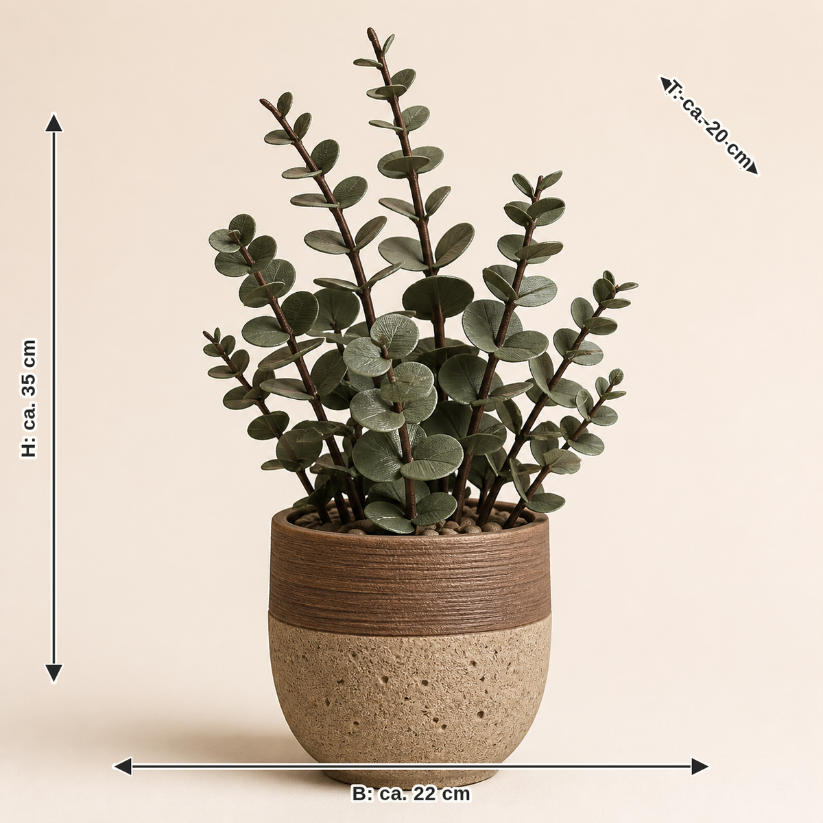 Dimensional image for decorative plant Eucalyptus – Rustic: width approx. 22 cm, depth approx. 20 cm, height approx. 35 cm
