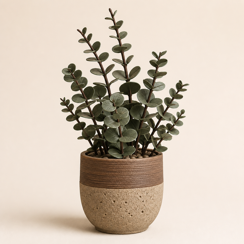 Decorative plant Eucalyptus – Rustic from PETG on bright studio background