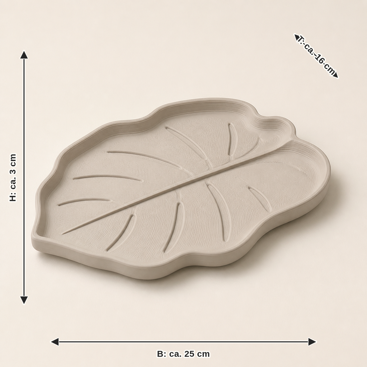 Maßbild für Deko-Schale Blattspur – Minimalistisch: Breite ca. 25 cm, Tiefe ca. 16 cm, Höhe ca. 3 cm
