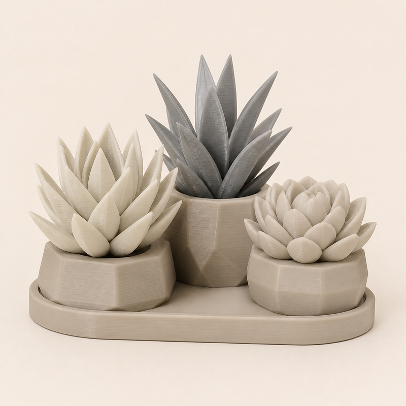 Decorative succulent trio – minimalist from PETG on bright studio background
