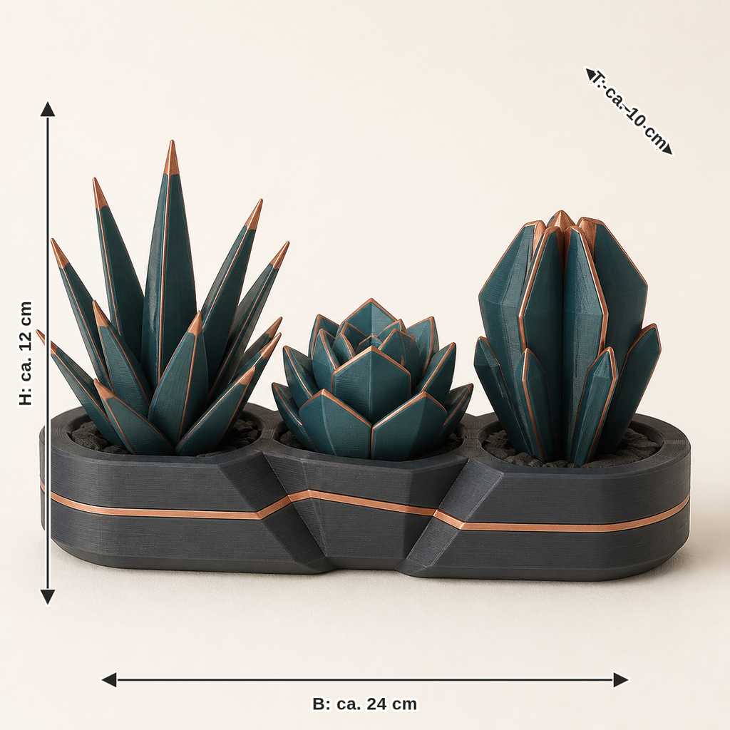 Maßbild für Deko-Sukkulenten Trio – Modern: Breite ca. 24 cm, Tiefe ca. 10 cm, Höhe ca. 12 cm