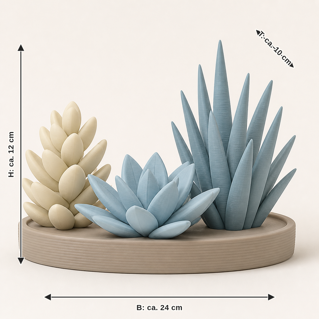 Maßbild für Deko-Sukkulenten Trio – Still: Breite ca. 24 cm, Tiefe ca. 10 cm, Höhe ca. 12 cm
