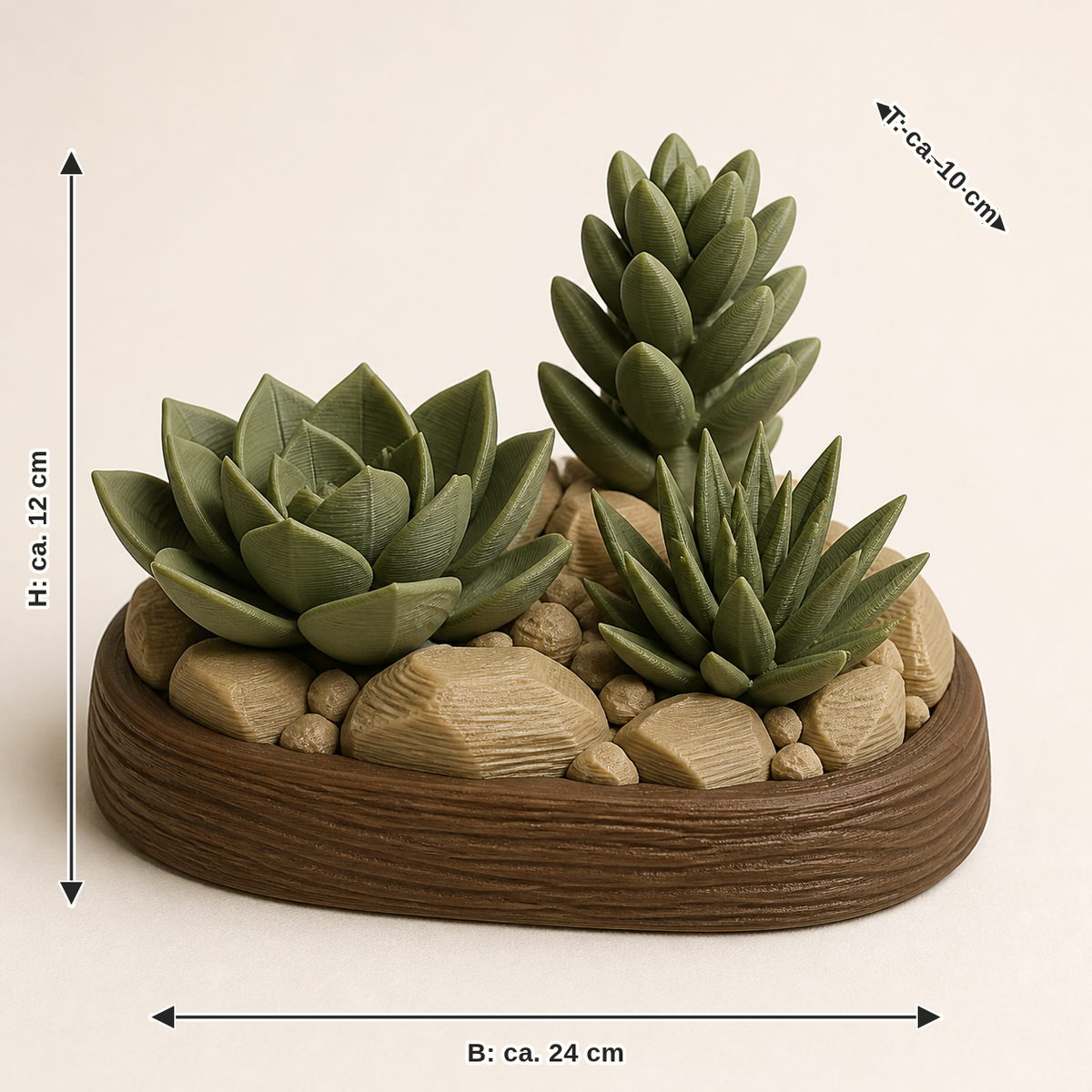 Maßbild für Deko-Sukkulenten Trio – Urig: Breite ca. 24 cm, Tiefe ca. 10 cm, Höhe ca. 12 cm