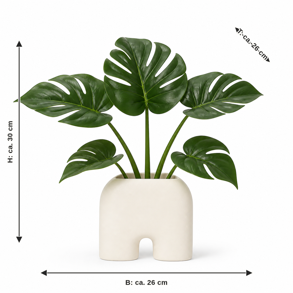 Maßbild für Künstliche Monstera im Bogen-Gefäß: Breite ca. 26 cm, Tiefe ca. 26 cm, Höhe ca. 30 cm