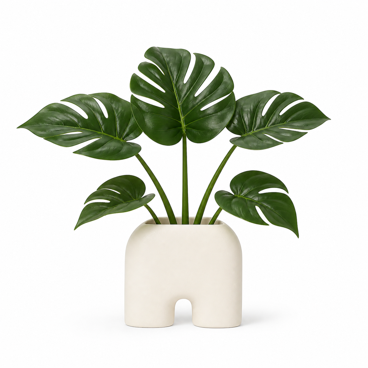 Artificial Monstera with five dark green leaves in warm white bow vessel