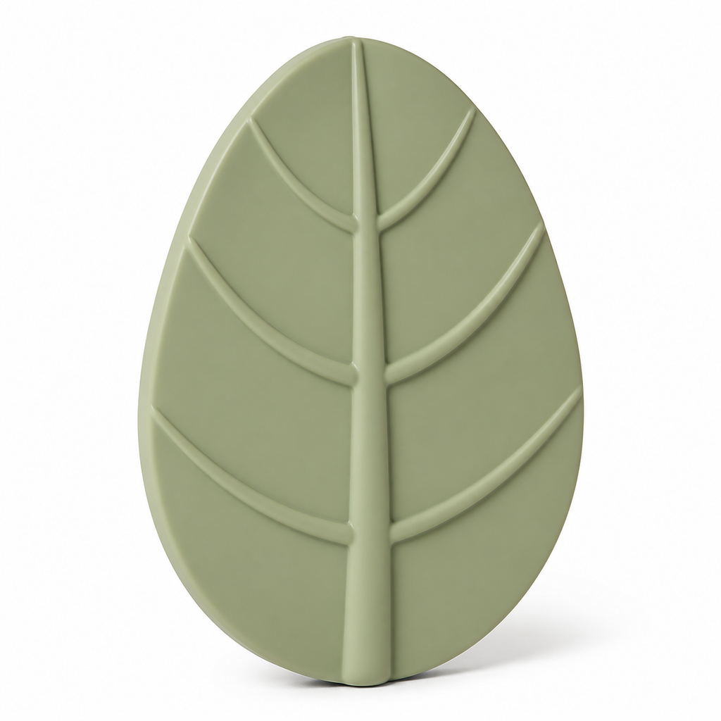 Sage green oval leaf wall ornament with sublime middle vein and six side veins