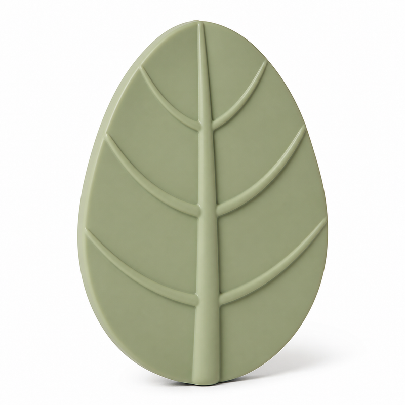 Sage green oval leaf wall ornament with sublime middle vein and six side veins