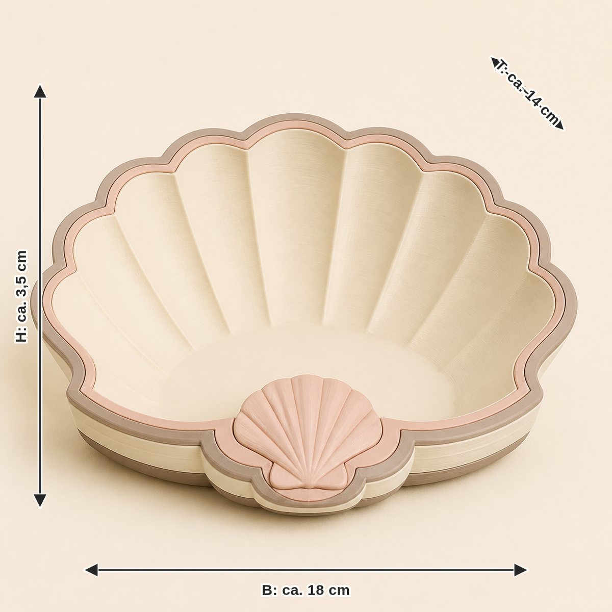Dimensional image for Muschel-jewellery dish Muschelkranz: width approx. 18 cm, depth approx. 14 cm, height approx. 3.5 cm