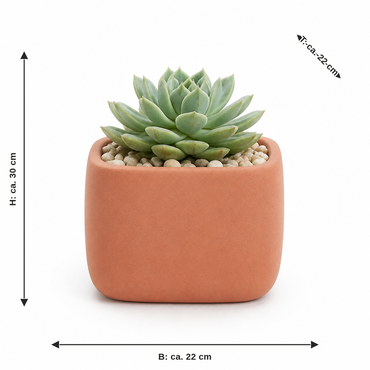Measurement for succulents in the terracotta cube: width about 22 cm, depth about 22 cm, height about 30 cm