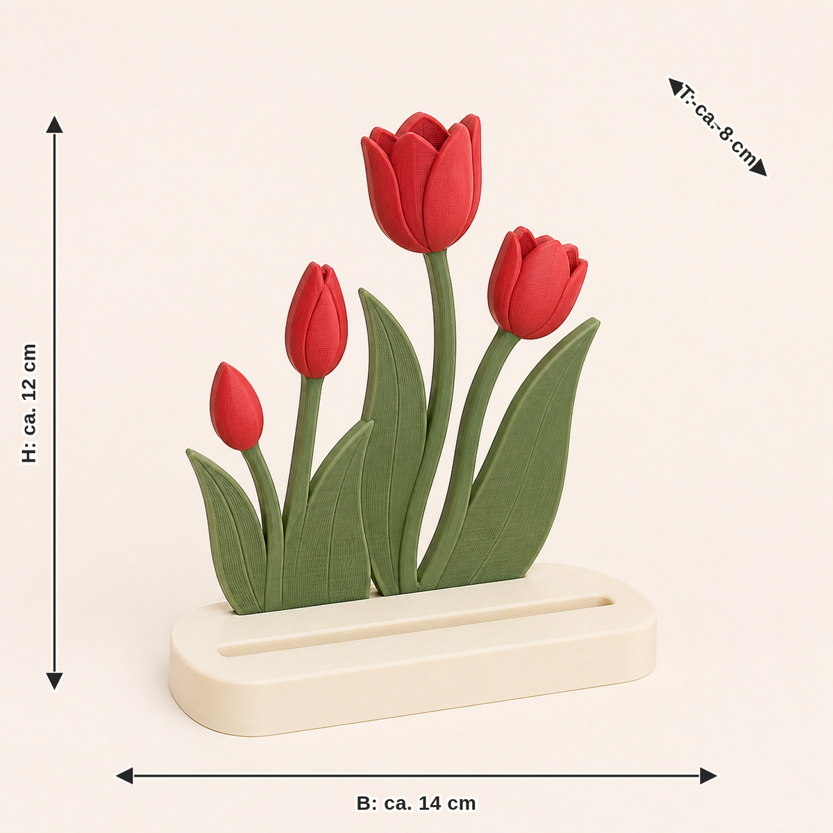Dimensional image for tulip season photo holder cup point: width approx. 14 cm, depth approx. 8 cm, height approx. 12 cm