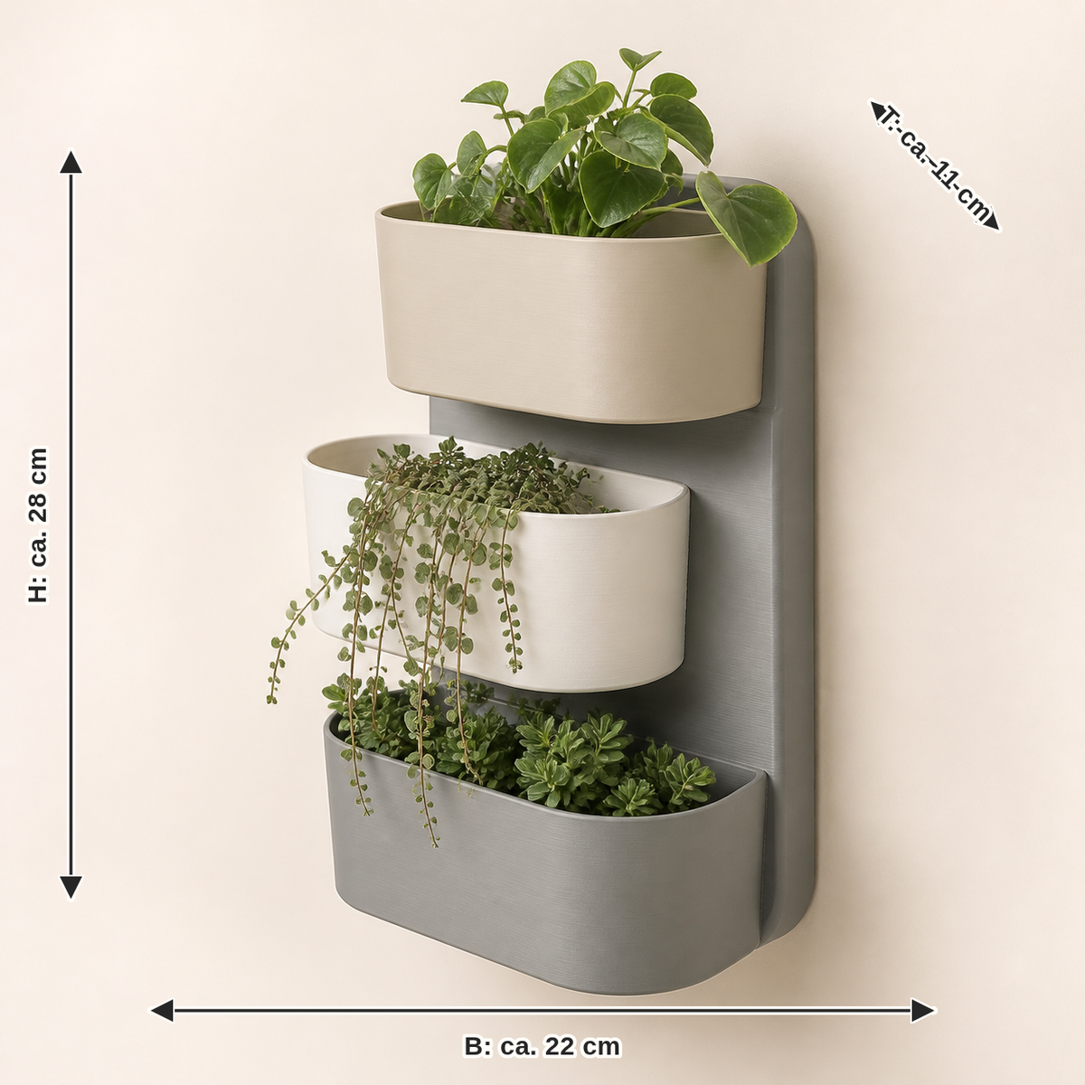 Dimensional picture for wall planter grove – minimalist: width about 22 cm, depth about 11 cm, height about 28 cm