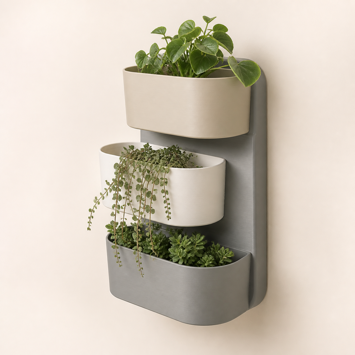 Wall planter grove – minimalist made of PETG on bright studio background